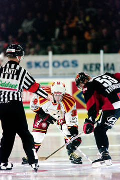 Janne Larsson, Brynäs och Marcus Thuresson, Malmö i en