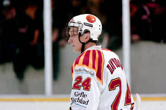 Jevgenij Davydov, Brynäs