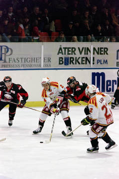 Jevgenij Davydov, Brynäs