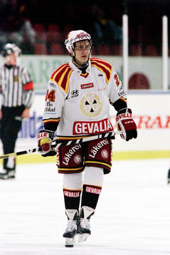 Jevgenij Davydov, Brynäs