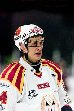 Jevgenij Davydov, Brynäs