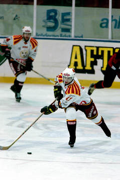 Johan Johnsson, Brynäs