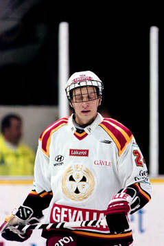 Jevgenij Davydov, Brynäs