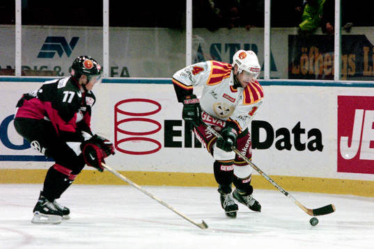 Niclas Wallin, Brynäs