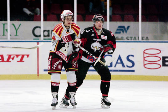 Jevgenij Davydov, Brynäs