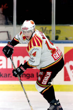 Niklas Wallin, Brynäs