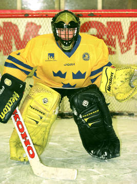 Magnus Eriksson, Sverige