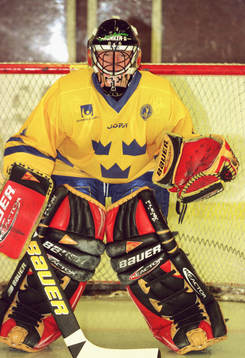 Johan Holmqvist, Sverige