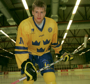 Mikael Holmqvist, Sverige