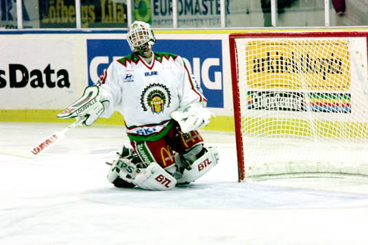 Ishockey, Elitserien, Malmö - Västra Frölunda, 5-0