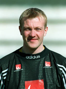 Magnus Hedman, Sverige