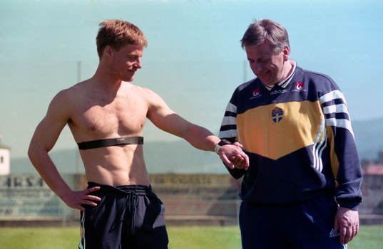 Stefan Schwarz och Tommy Söderberg, Förbundskapten,