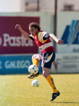 Henrik Larsson, Sverige