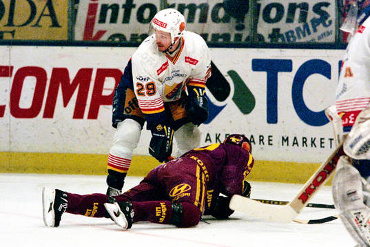 Mikael Magnusson, Djurgården