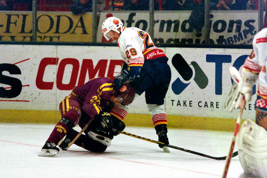 Mikael Magnusson, Djurgården