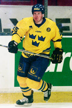 Niklas Sundblad, Sverige