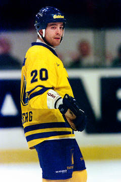 Johan Tornberg, Sverige