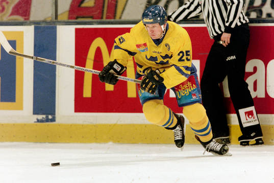Niklas Sundblad, Sverige