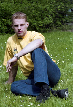 Niklas Hävelid, Sverige