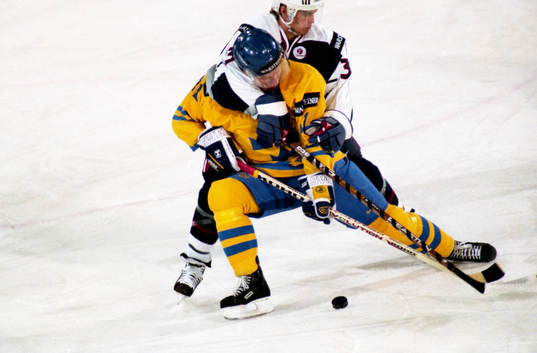 Jörgen Jönsson, Sverige