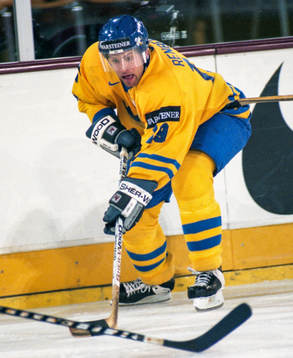 Mikael Renberg, Sverige
