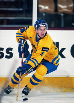 Nichlas Falk, Sverige