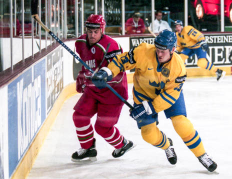 Mats Sundin, Sverige