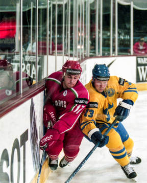 Mats Sundin, Sverige