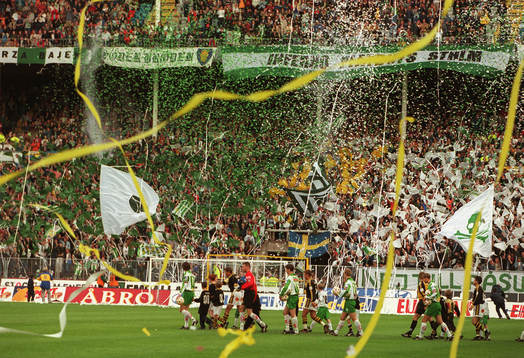 Hammarby, supporter