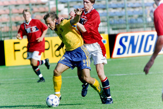 Fredrik Ljungberg, Sverige