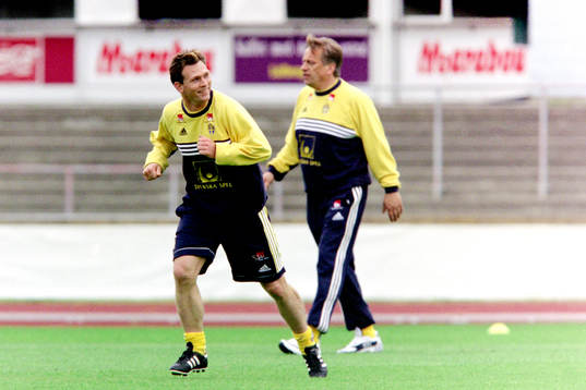 Pontus Kåmark, Sverige