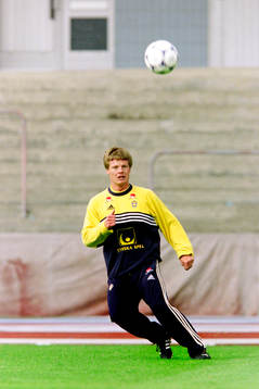 Stefan Schwarz, Sverige