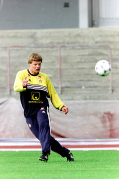 Stefan Schwarz, Sverige