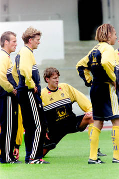 Magnus Erlingmark, Sverige
