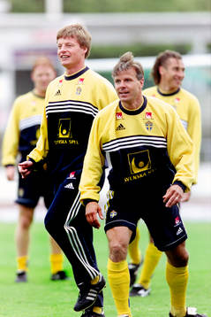 Stefan Schwarz och Roland Nilsson, Sverige