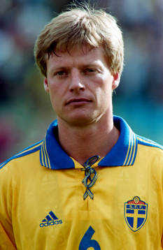 Stefan Schwarz, Sverige