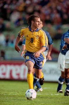 Henrik Larsson, Sverige
