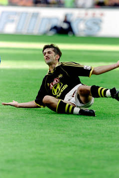 Nebojsa Novakovic, AIK