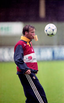 Fredrik Ljungberg, Sverige