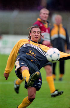 Henrik Larsson, Sverige