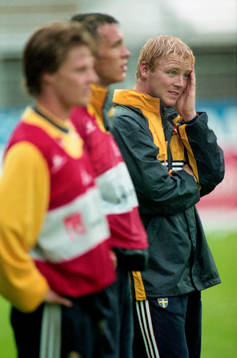 Jörgen Pettersson, Sverige