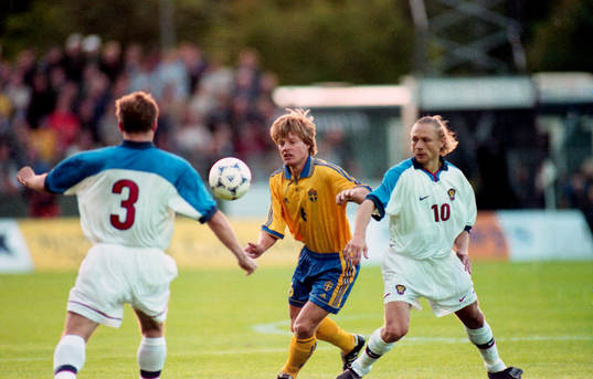 Stefan Schwarz, Sverige