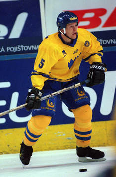 David Petrasek, Sverige