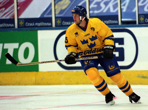 David Petrasek, Sverige