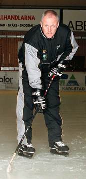 Gunnar Johansson, Färjestad