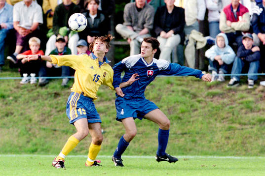 Mirza Durakovic, Sverige