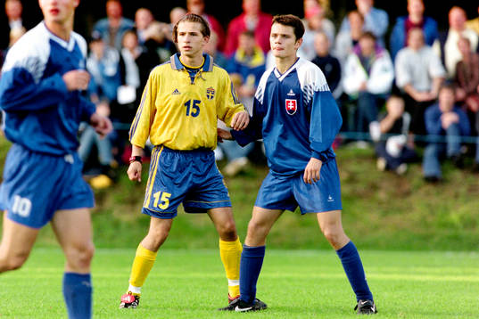 Mirza Durakovic, Sverige