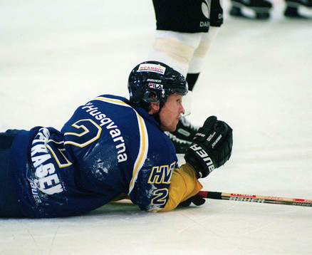 David Petrasek, HV 71