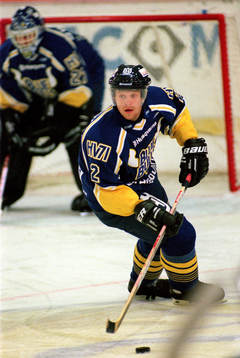 David Petrasek, HV 71