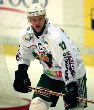 Roger Elvenes, Rögle